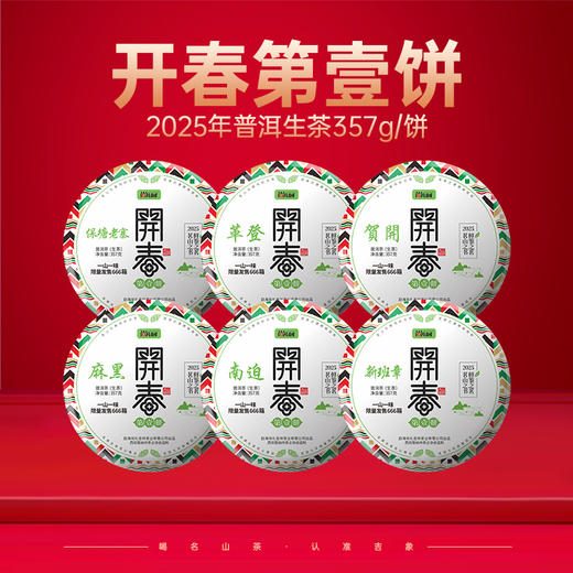 2025年开春第一饼普洱生茶1提6饼 商品图0