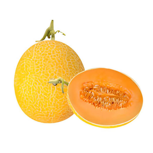 海南黄金蜜瓜 商品图2