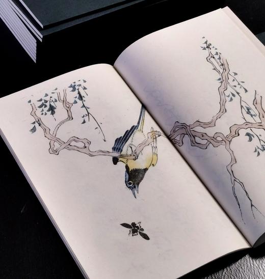 【重磅推荐】《十竹斋书画谱》，全16册，蝴蝶装，247*145mm，[明]胡正言辑，崇文书局2025年一版一印，定价3880，售价2288元。 商品图14