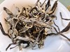 2025春  曼松贡茶 生普洱 50克起 商品缩略图4