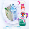 CHANTECLAIR大公鸡管家 马桶清洁剂(漂白) 洁厕液 洁厕灵去黄除臭  625ml /家庭清洁/纸品 /家庭环境清洁 /洁厕灵 商品缩略图1