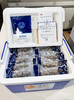 【春节好礼】1500元5斤鲜食海参王 商品缩略图1
