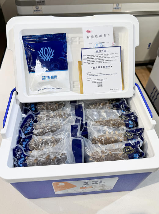 【春节好礼】1500元5斤鲜食海参王 商品图1