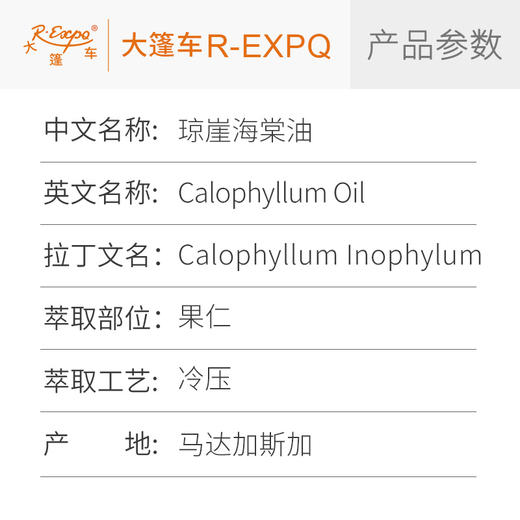 琼崖海棠油 Calophyllum 马达加斯加进口原料批发按摩植物基础油 商品图1