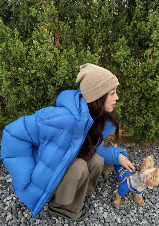 波司登同款三防同里同料时尚小龟背白鹅绒羽绒服 商品图8