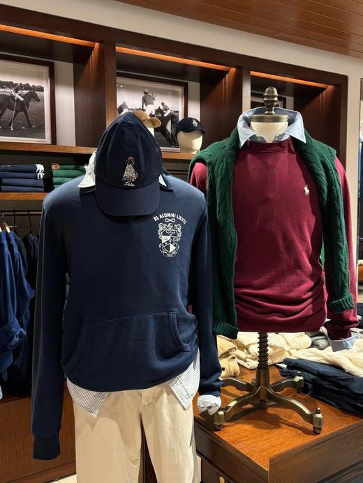 F011249松弛有度日常通勤休闲翻领半拉链小马卫衣 商品图2