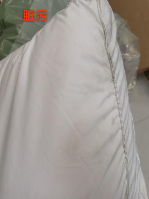 6916517941252 富安娜Fuanna 【梦享芯选】高颜值蚕丝枕成人家用枕头床上用品单人枕芯丝棉枕 商品图3