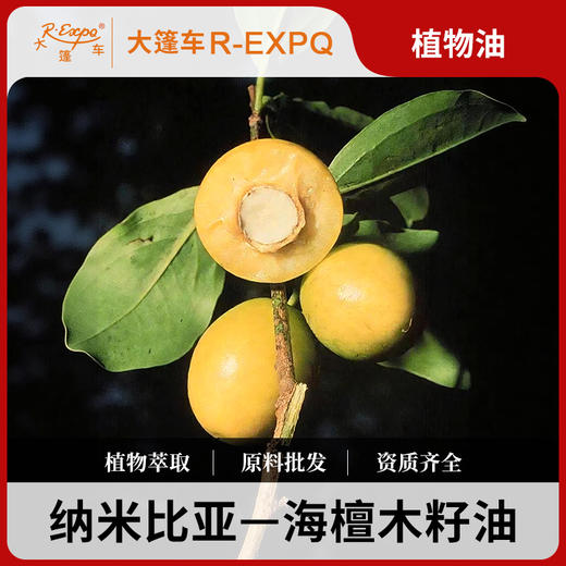 海檀木籽油 Ximenia 纳米比亚植物油会拉丝的基础油美容按摩油 商品图0