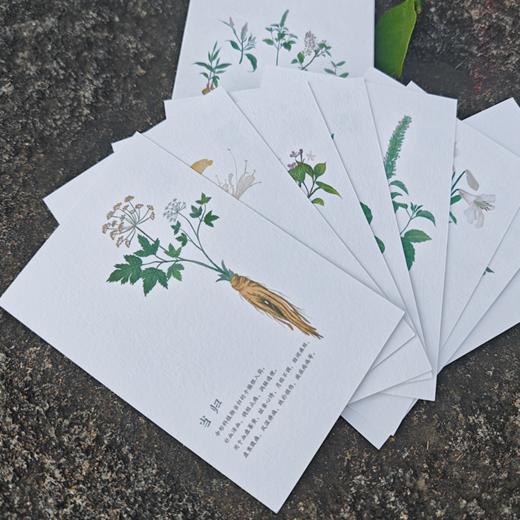 【问安原创】手绘药用植物明信片 商品图0