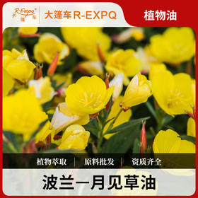 月见草油 波兰原料批发 身体按摩适用基础油 基底植物基础油批发