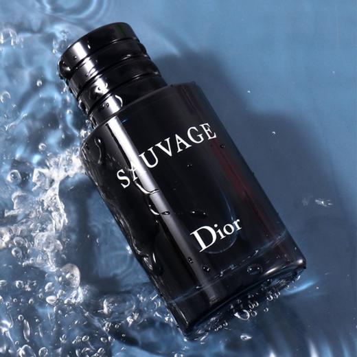 Dior迪奥旷野 男士香氛香水100ml 香港直邮 商品图9