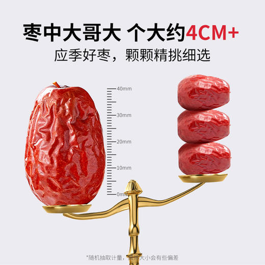 方家铺子 五星骏枣500g袋装 商品图3