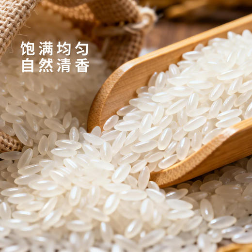 福临门寒地大米5kg东北大米粥米寿司米10斤家庭装 商品图2