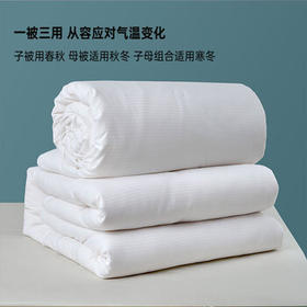 多喜爱家纺拉链子母被 二合一大豆被冬季加厚被芯双人冬被11斤203*229cm