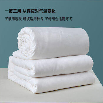 多喜爱家纺拉链子母被 二合一大豆被冬季加厚被芯双人冬被11斤203*229cm 商品图0