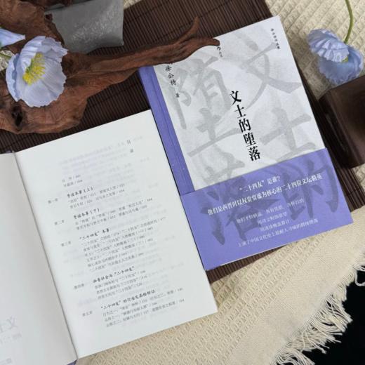 【大沨丛书010】文士的堕落：西晋“二十四友”的浮华人生 商品图3