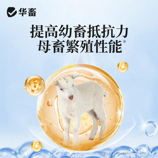 华畜兽用维生素D3可溶性产后瘫痪佝偻病软骨软壳蛋禽鸡猪牛羊腿疼 商品图4