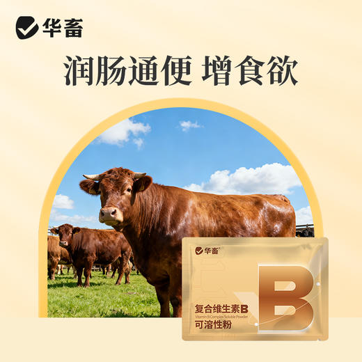 【积分兑换】华畜复合维生素B可溶性粉100g  促消化积食 赖皮症口腔炎 商品图3