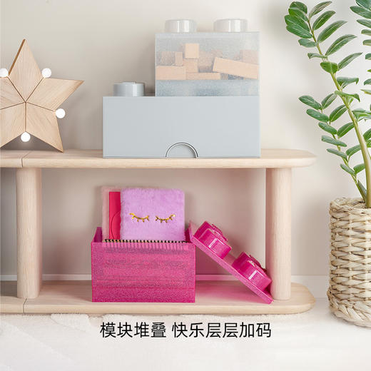 【专属链接】乐高®经典顶盖款半透明收纳盒 商品图2