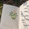 【问安原创】手绘药用植物软皮笔记本 商品缩略图2