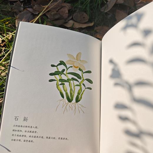 【问安原创】手绘药用植物软皮笔记本 商品图2