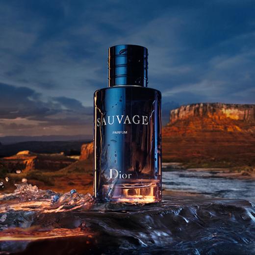 Dior迪奥旷野 男士香氛香水100ml 香港直邮 商品图3