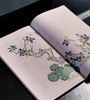 【重磅推荐】《十竹斋书画谱》，全16册，蝴蝶装，247*145mm，[明]胡正言辑，崇文书局2025年一版一印，定价3880，售价2288元。 商品缩略图8