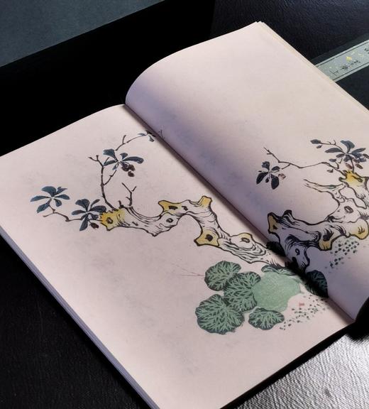【重磅推荐】《十竹斋书画谱》，全16册，蝴蝶装，247*145mm，[明]胡正言辑，崇文书局2025年一版一印，定价3880，售价2288元。 商品图8