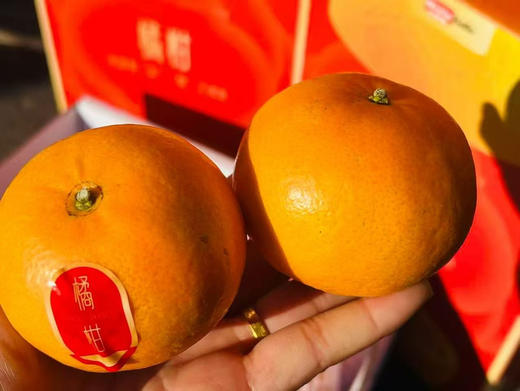 橘柑，4斤/箱 商品图1