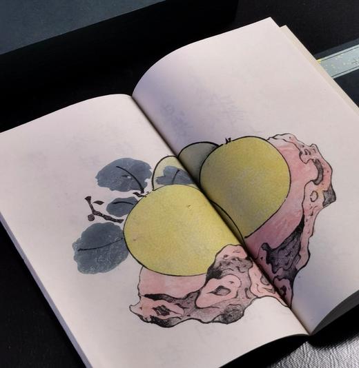 【重磅推荐】《十竹斋书画谱》，全16册，蝴蝶装，247*145mm，[明]胡正言辑，崇文书局2025年一版一印，定价3880，售价2288元。 商品图12