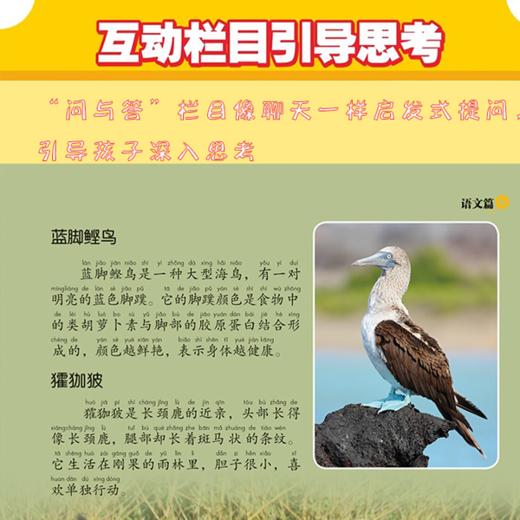 【2026新版上下册】新教材里的大百科同步教材一二三四五六年级 商品图4