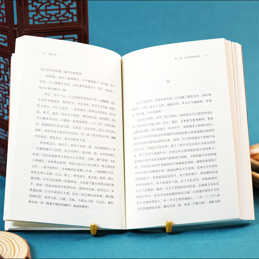 阅山河人文微型百科深度旅行文化指南治愈精神内耗散文鲁迅文学奖 商品图3