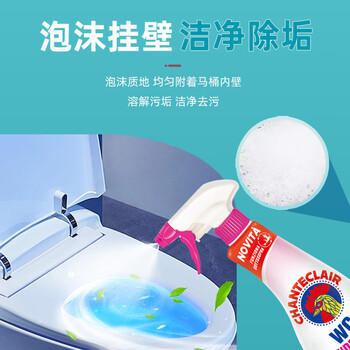 CHANTECLAIR大公鸡管家 马桶清洁剂(漂白) 洁厕液 洁厕灵去黄除臭  625ml /家庭清洁/纸品 /家庭环境清洁 /洁厕灵 商品图5