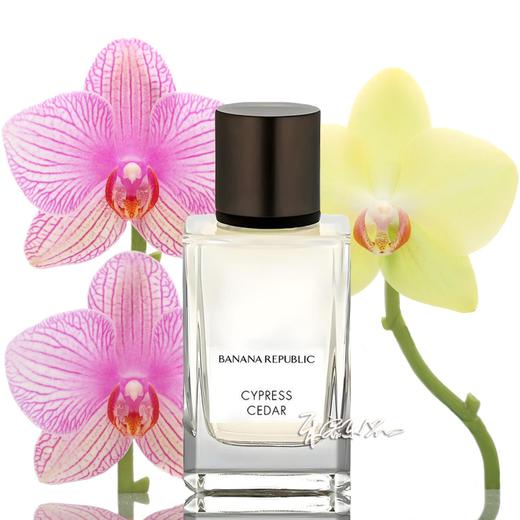 香蕉共和国 典藏系列-丝柏雪松 Banana Republic Cypress Cedar 小样/正装 商品图0