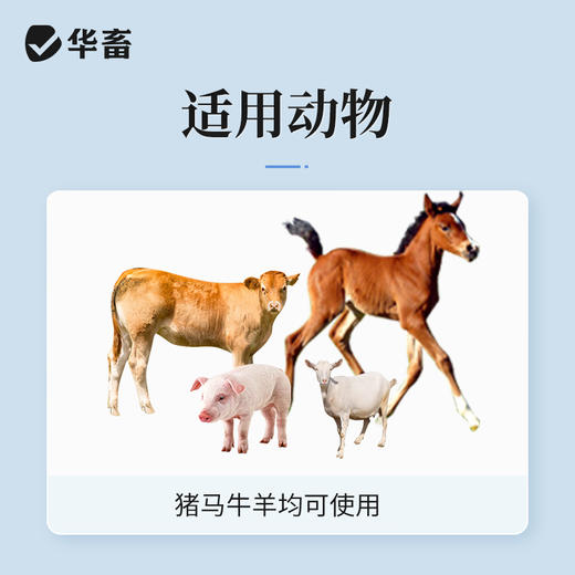 华畜 400万注射用青霉素钾20支 猪丹毒 产后保健 商品图1