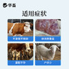 华畜孕马血清兽用注射用血促性素猪牛羊发情针剂母畜促排兽药 商品缩略图1