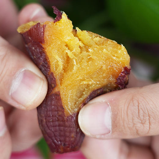 红瑶薯干 无任何添加 倒蒸 香甜软糯 自制地瓜干红薯干 即食100g 休闲零食 4份包邮 商品图3