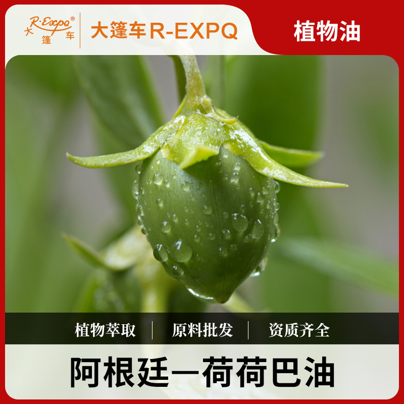 荷荷巴油 阿根廷原料批发 美容院按摩植物油基础油批发