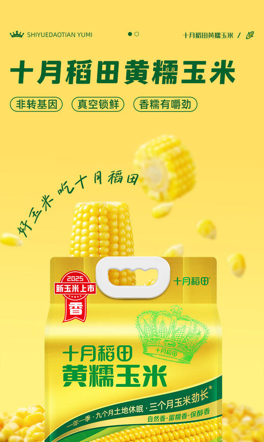 【金皇会员49金币专享】十月稻田 黄甜糯玉米 8根 3.52斤 真空包装 东北粘玉米棒 低脂早餐 商品图1