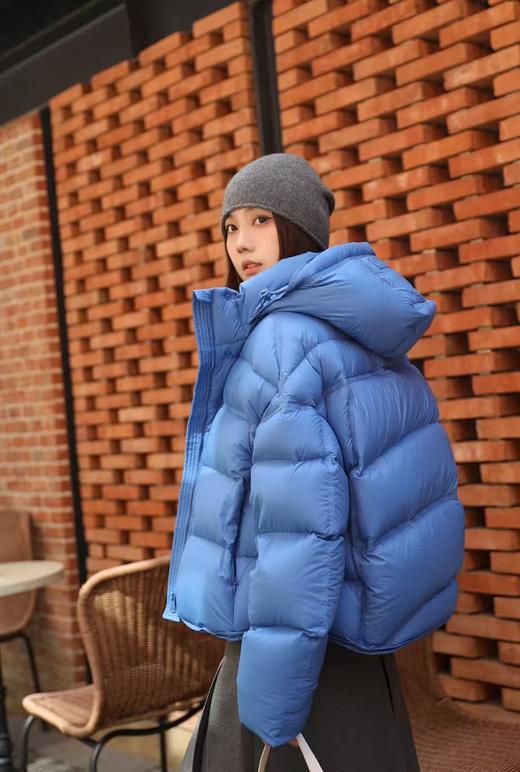 波司登同款三防同里同料时尚小龟背白鹅绒羽绒服 商品图2