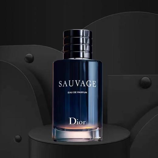 Dior迪奥旷野 男士香氛香水100ml 香港直邮 商品图4