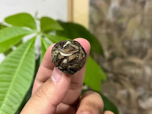 易武百花潭珍藏【高杆白茶龙珠】 商品图6