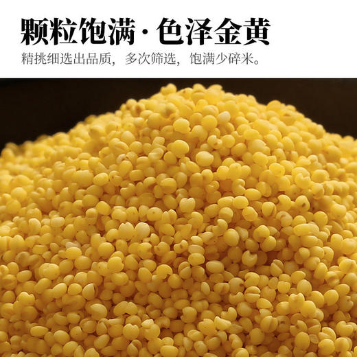 人民 瓶装有机小米410g 商品图4