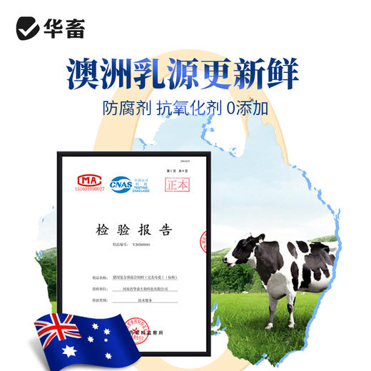 华畜兽用 完美母爱500g 30%乳蛋白奶粉 高利用度更省钱 商品图4
