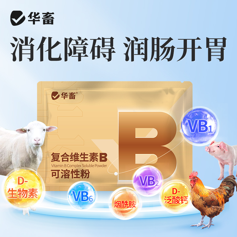 【积分兑换】华畜复合维生素B可溶性粉100g  促消化积食 赖皮症口腔炎