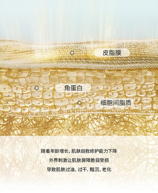 朵梵双生精华奢耀鎏光双重焕活微凝珠精华30ml 淡纹焕亮 商品图1