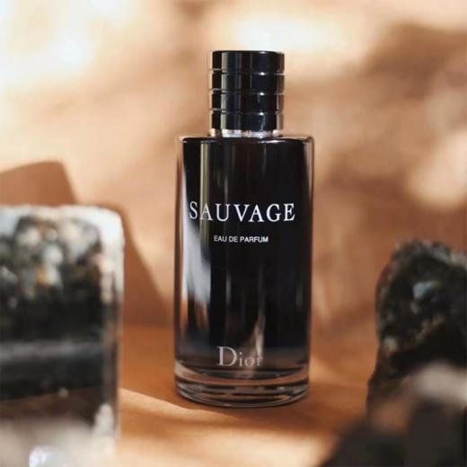 Dior迪奥旷野 男士香氛香水100ml 香港直邮 商品图8