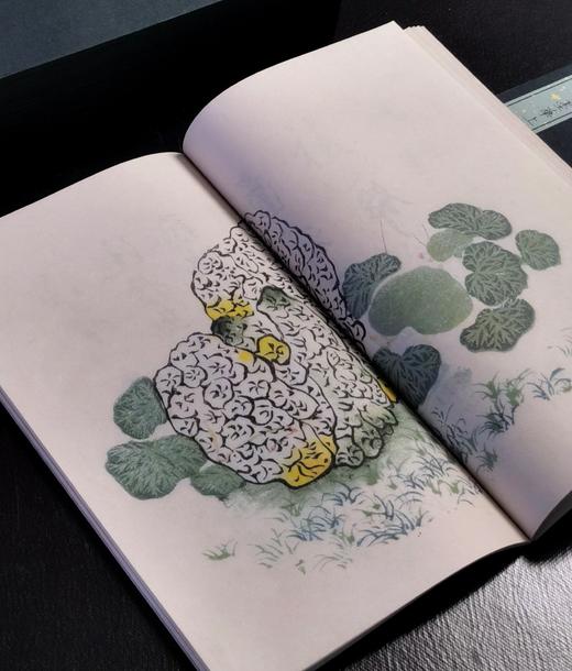 【重磅推荐】《十竹斋书画谱》，全16册，蝴蝶装，247*145mm，[明]胡正言辑，崇文书局2025年一版一印，定价3880，售价2288元。 商品图10