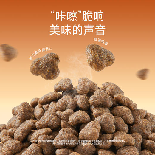 【春日焕新补贴】【虾油爆爆鲜肉猫粮】宽福 35天助美毛长肉  60%鲜肉含量 鱼油 磷虾油 鸡蛋 黑芝麻 蛋黄粉 卵磷脂 天然食补助力美毛 三重益生元 助力呵护肠道健康 商品图4