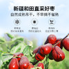 方家铺子 五星骏枣500g袋装 商品缩略图6